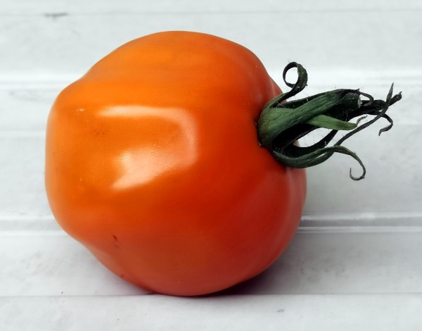 Tomat 'Ilja Muromets'