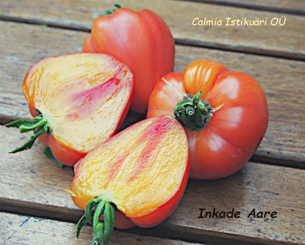 Tomat Inkade Aare