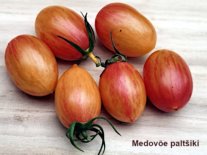 Tomat 'Medovoe paltšiki'