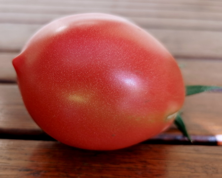Tomat Roosa tr�hvel