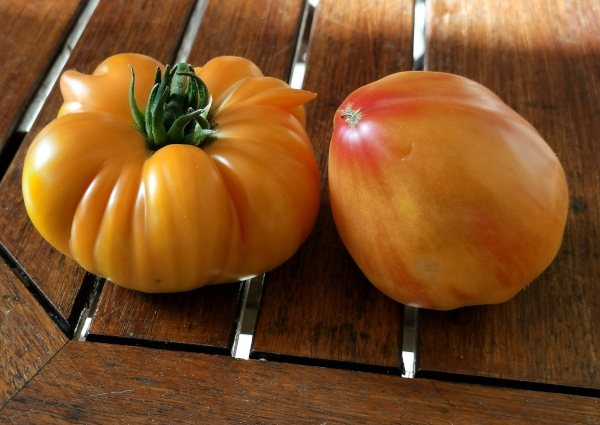 Tomat 'Sladkii jantar'