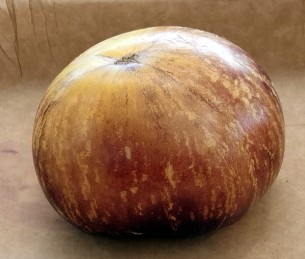 Tomato 'Solar Eclipse'