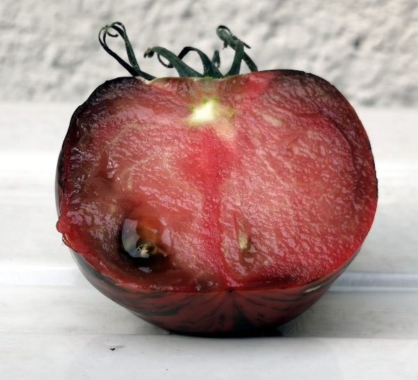 Tomat 'Tatjanin Jakhont'